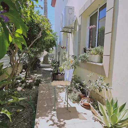 Cactus House Hotel Oroklini