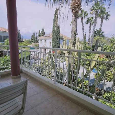 Cactus House Hotel 4*