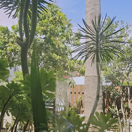 Cactus House Hotel Voroklini