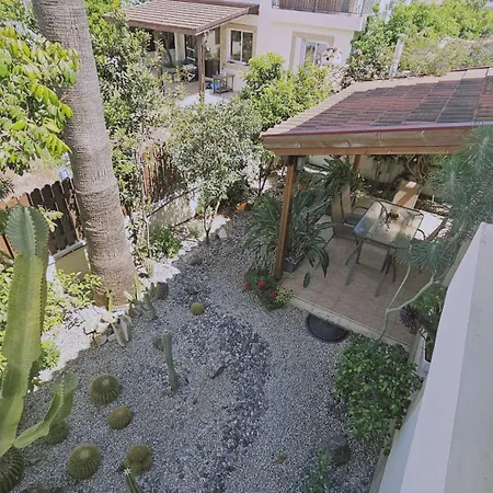Cactus House *