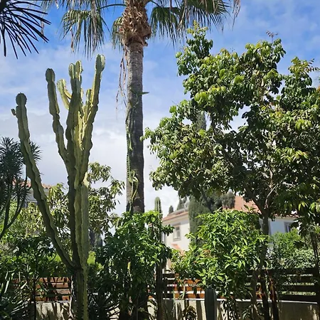 Cactus House 4* Voroklini