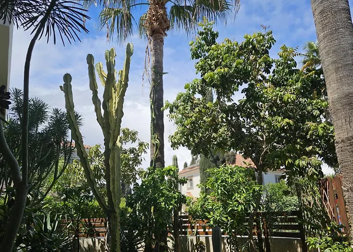 Cactus House 4* Voroklini